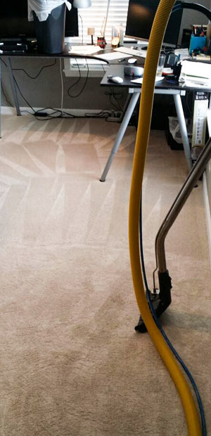 Deep Carpet Cleaning in Bellview